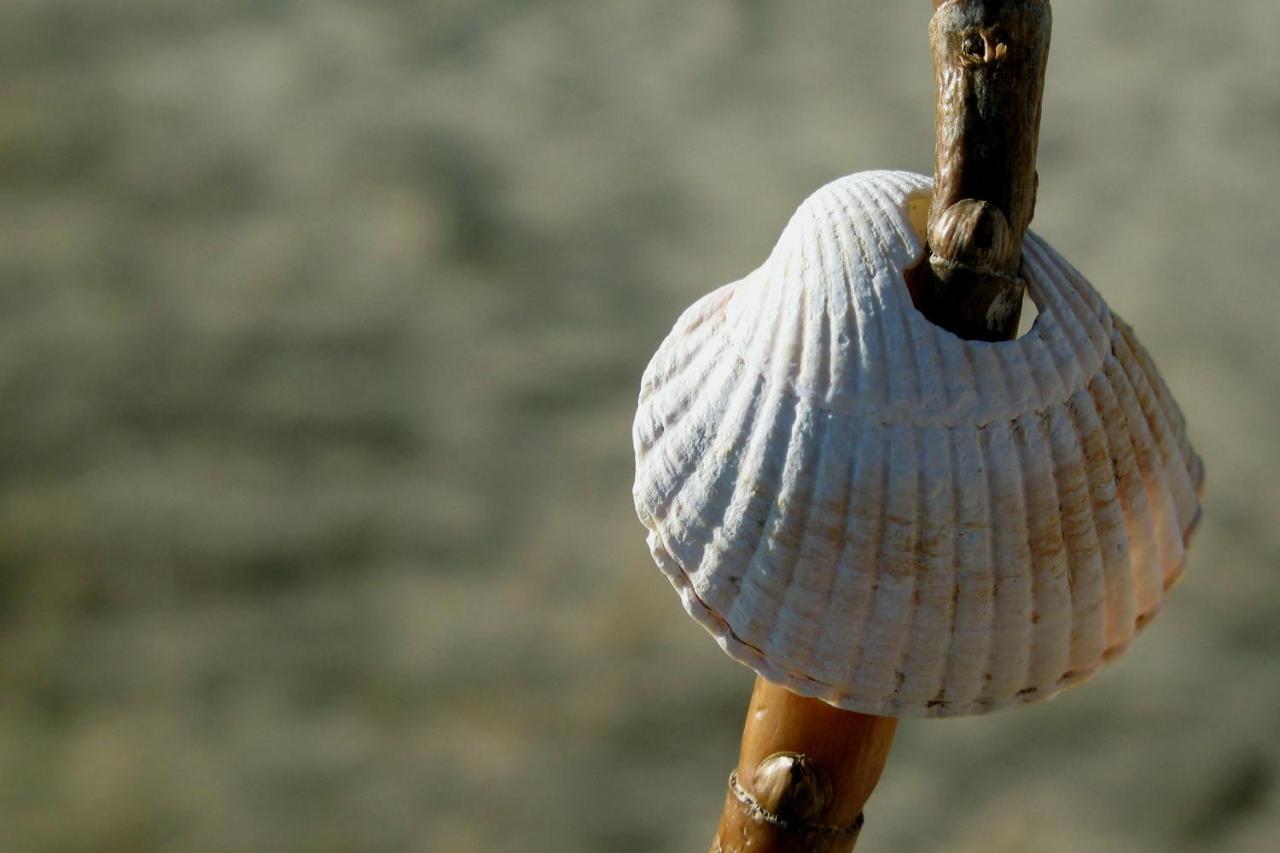 Haus Am Meer Scharbeutz Zewnętrze zdjęcie